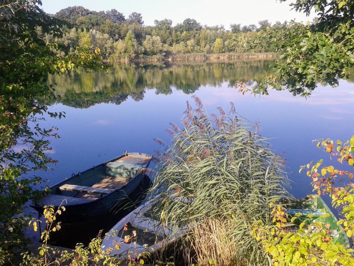 70Qm Wohnung, 76771 Hoerdt, Naturschutzgebiet, Rheinland-Pfalz Hordt Bagian luar foto
